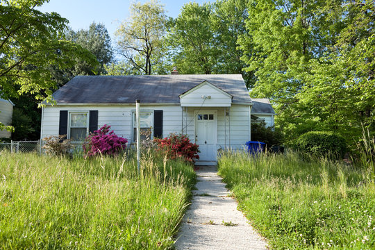 Lawn Care services